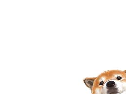 Dog Aesthetic Wallpapers Top Free Dog Aesthetic Top View Of Samoyed Dog Looking At Camera While Lying D21 In 2020 Corgi Wallpaper Iphone Corgi Wallpaper Dog Wallpaper