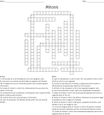 Crossing over, meiosis i, meiosis ii, and genetic variation. Mitosis Meiosis Vocabulary Quiz Crossword Wordmint