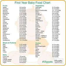 13 specific babies food chart after one year