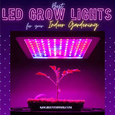 We did not find results for: 6 Best Led Grow Lights 2021 420 Green Thumb