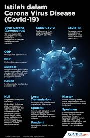 Penyakit ini disebabkan oleh salah satu dari empat serotipe virus dari genus flavivirus, famili flaviviridae. Gejala Baru Virus Corona Apa Yang Bisa Dilakukan Untuk Langkah Pencegahan Halaman All Kompas Com