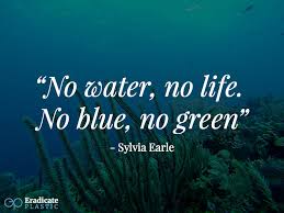 We did not find results for: 25 Inspiring Quotes About The Ocean Eradicate Plastic