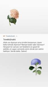 Gule Gule Adli Kullanicinin Lam Ra Panosundaki Pin Guzel Hayat Ilham Verici Sozler Inanc Sozleri