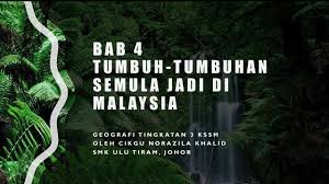 If you continue browsing the site, you agree to the use of cookies on this website. Nota Geografi Tingkatan 3 Kssm Bab 4 Tumbuh Tumbuhan Semula Jadi Di Malaysia Youtube