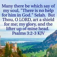 Verse4Today Psalm 3:1-3 KJV LORD, how are they increased that trouble me!  many are they that rise up against me. Many there be which say of my soul,  "There is no help
