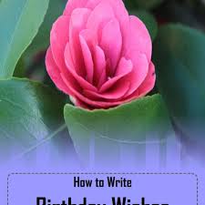 Maybe you would like to learn more about one of these? 20 Great Birthday Messages For A Daughter In Law Holidappy