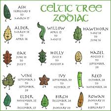 The Celtic Tree Zodiac Celtic Tree Celtic Symbols Celtic