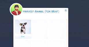 You can choose to harvest their produce for your household or to sell their goods to the marketplace! Kawaiistacie My First Farm Animal Sims 4 Downloads