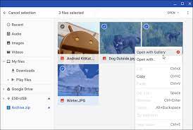 You can open and save many types of files on your chromebook, like documents, pdfs, images learn which types of files are supported on your chromebook. How To Use And Manage Zip Files On A Chromebook