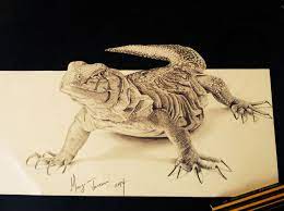 Download a free preview or high quality adobe illustrator ai, eps. 3d Pencil Drawing Lizard By Manzijackson On Deviantart