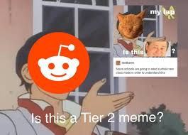 Is This A Tier 3 Meme Now Memes Funny Cute Future School
