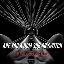 Are You A Dom, Sub or Switch: (Part 2) The Dominant & Switch - Both Sides  of The Bed | Lyssna här | Poddtoppen.se