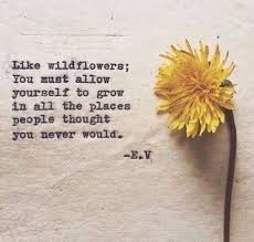 Teaching Literacy Wild Flower Quotes Flower Quotes Senior Quotes