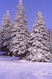 Flagstaff Az A Small Town We Enjoyed It Good Memories Arizona Winter Flagstaff Arizona Winter Flagstaff Arizona The area will see gentle winds today, with forecast showing winds from the north, clocking in at 10 mph. flagstaff arizona winter