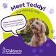 Teddy the Therapy Dog event in Montpelier, VT
