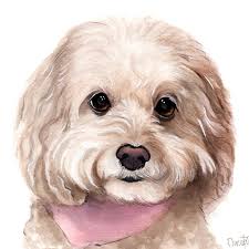 juanitascoloredbook) • Instagram photos and videos