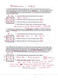 Some of the worksheets displayed are punnett squares practice answers, mobi punnett square work 1 answers, mendels pea plants, ap biology. Spongebob Incomplete Dominance Problems Worksheet Answers Mendelian Genetics Introduction To Punnett Squares