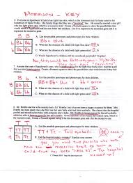 (a) if spongegerdy's father is a 5. Bikini Bottom Genetics Review Answers Incomplete Dominance