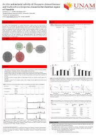 Image result for Diospyros chamaethamnus