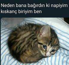 Berra Buyukpisirici Adli Kullanicinin Komik Seyler Panosundaki Pin 2020 Komik Goruntuler Komik Fikralar Komik Seyler