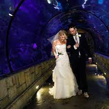 Shark Reef At Mandalay Bay Wedding Mandalay Bay Wedding Wedding Vegas Wedding
