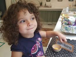 Fraser Woods Montessori School