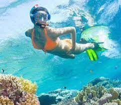 Nassau Snorkeling Reef Locations Http Www Deepbluediving Org Scuba Diving Gear For Kids Bahamasdivingadve Bahamas Snorkeling Scuba Diving Hawaii Snorkeling