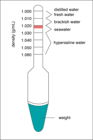 Register free for online tutoring session to clear your doubts. Question Set Using A Hydrometer To Determine Density And Salinity Manoa Hawaii Edu Exploringourfluidearth