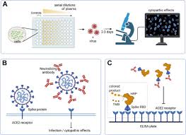 Image result for Neutralization Test