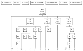 Acute pain, subacute pain and chronic pain (chapter.). A Study Of Stroke Post Acute Care Costs And Outcomes Final Report Aspe