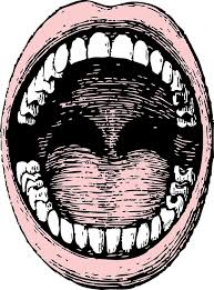 Gambar kartun memang mempunyai ciri khas yang. Mulut Manusia Gigi Gambar Vektor Gratis Di Pixabay