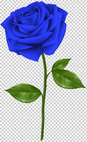 Find the best rose flowers background on getwallpapers. Blue Rose Flower Png Clipart Blue Blue Rose Clipart Computer Wallpaper Cut Flowers Free Png Download
