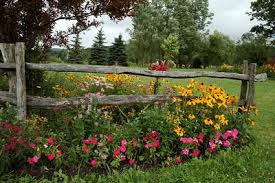 Ideas for planting in front of a split rail fence 11. Colors Of The Garden July 2007 Fence Landscaping Backyard Fences Outdoor