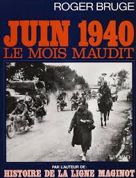 Résultat de recherche d'images pour "secteur fortifié des Vosges"