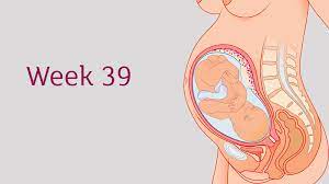 39 Weeks Pregnant All You Need To Know Tommy S