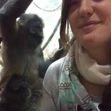 Hi! I just moved to the area and am looking for a belay partner/friends to  boulder with! I've been bouldering for a while and want to get into top  rope more. I'm