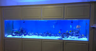 Pin On Aquarium
