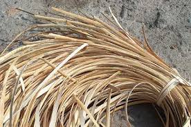 Image result for rattan