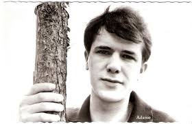 Affida Una Lacrima Al Vento Wikitesti