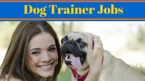 Dog Trainer Jobs