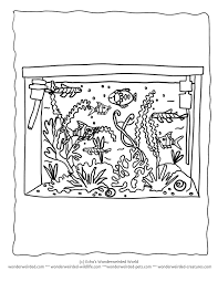 Enjoy the best collection of coloring related browser games on the internet. Marine Aquarium Coloring Pages Aquarium Coloring Pages Tropical Fish Coloring Home