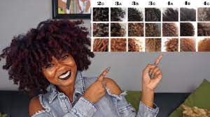 This hair type is usually very dry and can be easy to damage. Natural Hair Types Texture Tips Curl Pattern Porosity Density Youtube
