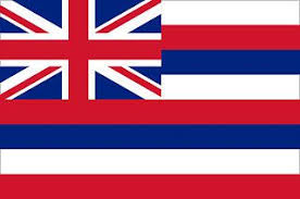 State Flag Of Hawaii Hawaii Flag Hawaii State Flag Flag