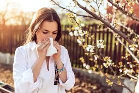 Neti pots, allergy shots: 8 doctors share how they treat their own seasonal  allergies. Heres what you can learn from them.