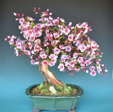 Free Tutorial Polymer Clay Cherry Blossom Tree Needs Translating Como Realizar Un Bonsai En Porcelana Fria Porcelana Fria Flores De Porcelana Fria Flores