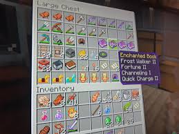 Found This Book While Fishing I Have No Clue On Where Should I Use It Can You Guys Help Me Minecraft