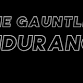 The Gauntlet - Endurance event image