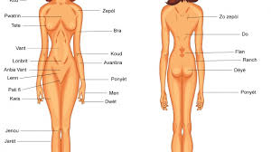 Nape, head, neck, shoulder blade, arm, elbow. Female Body Parts Medical Creole