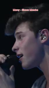 Shawn Mendes Prepare to Sacrifice My Life