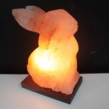 The belief that pink himalayan rock salt is better for your health because it contains less nacl is also difficult to prove, as many varieties will be. Rabbit Shaped Himalayan Salt Lamp Salt Lamp Himalayan Salt Lamp Himalayan Crystal Salt Lamp